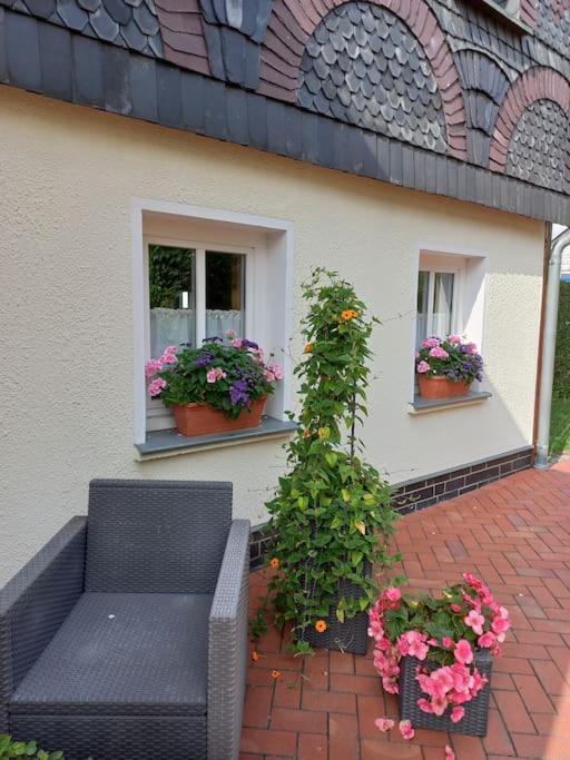 Fewo Marie Im Ferienhaus Selma In Zentraler Lage Гросшёнау Экстерьер фото